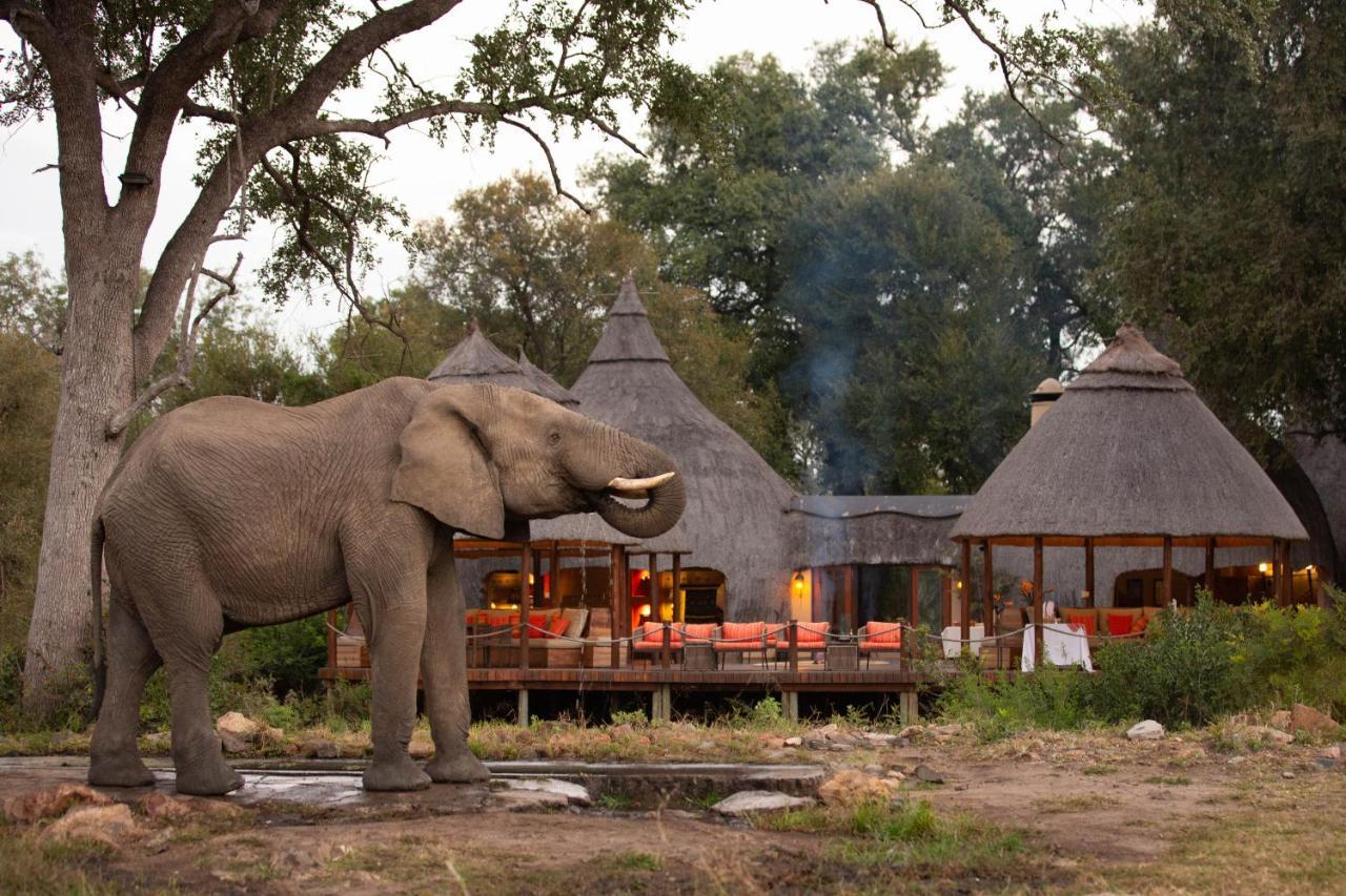 Hoyo Hoyo Safari Hospedaje Mluwati Concession Exterior foto