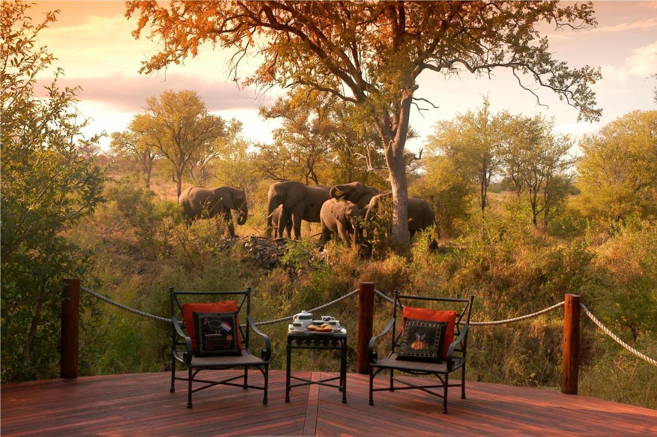 Hoyo Hoyo Safari Hospedaje Mluwati Concession Exterior foto