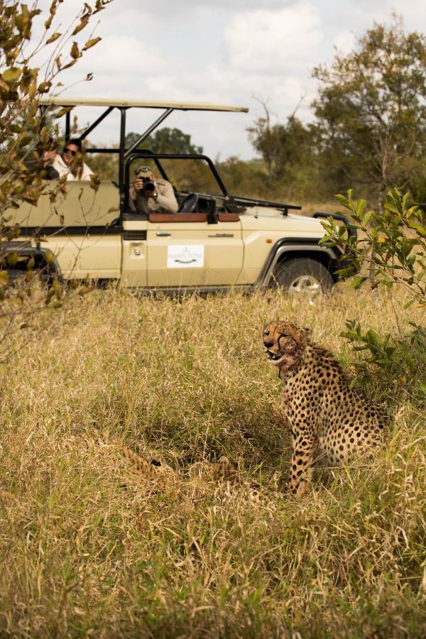 Hoyo Hoyo Safari Hospedaje Mluwati Concession Exterior foto